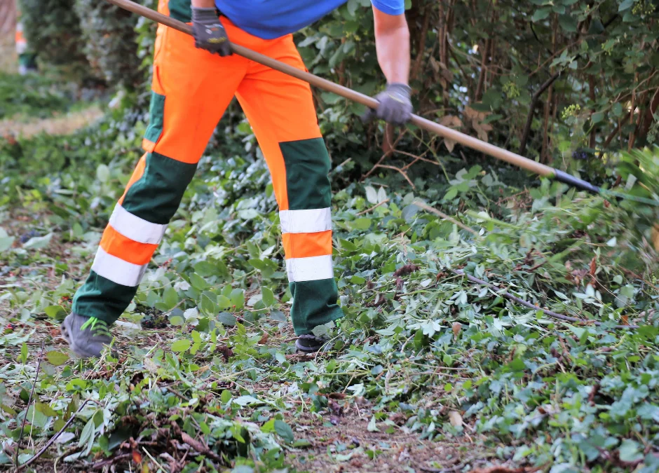 weed control