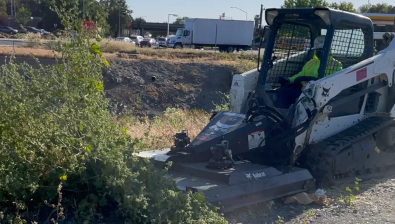 Weed Abatement Service